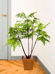 Artificial Fern Tree