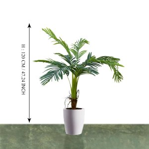Hawaii Palm Tree