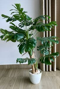 Artificial Monstera Plant