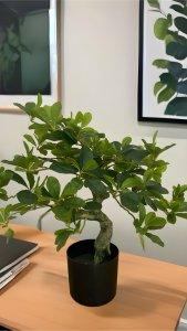 Artificial Bonsai Plants