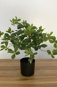 Artificial Bonsai Plants