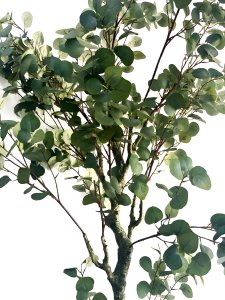 Artificial Eucalyptus Tree