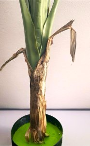 Artificial Monstera Plant