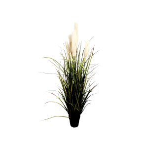 Onion Grass