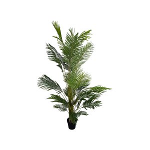 Palm Tree in Plastic Pot