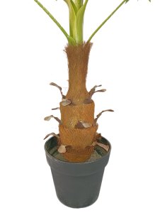 Palm Tree in  Plastic  Pot