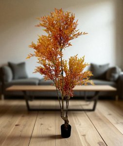 Nandina Plant in Pot