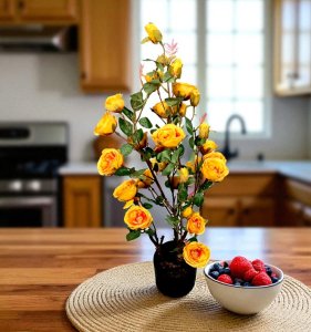 Rose in pot