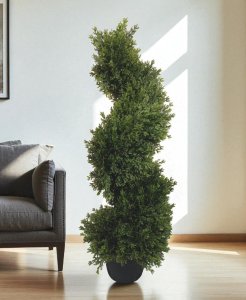 Cedar Topiary in Pot