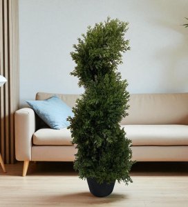 Cedar Topiary in Pot