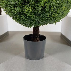 Boxwood Ball Topiary in Pot