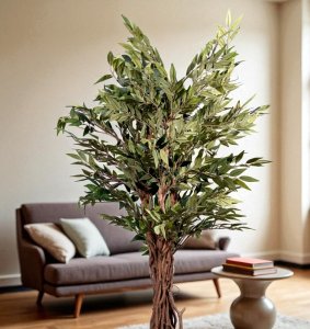 Smilax Tree in Pot