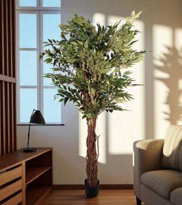 Smilax Tree in Pot