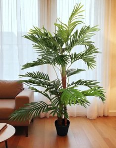 Palm Tree in Plastic Pot