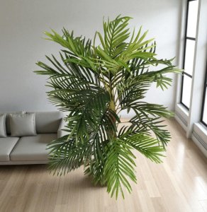 Palm Tree in Plastic Pot