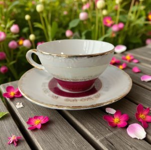 Cup Set - 3 pieces
