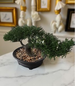 Bonsai Tree Artificial Plants Floating Plants for Wall Desk Farmhouse Room Decor